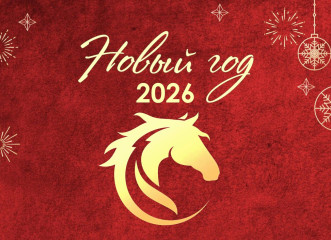 с Новым годом - фото - 1